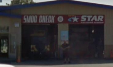 Smog Check Tokay Shell